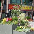 중앙가든 이미지