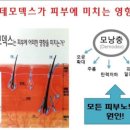 올가라인화장품 네이버블로그