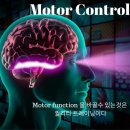 모토발란스 이미지