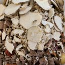 가디한의원 이미지