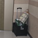 모아세탁소 | 세탁소/ 세탁 딜리버리 “런드리고” 후기