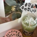 포터 콜라보, 슬리데린 플럼 그린 티 + 해피버스데이 해리 케이크 내돈내산 솔직 후기 (feat. 이벤트 정리)