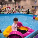 한국체대 키즈 태권도 이미지