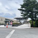 만하 | 경주 아이와 가볼 만하 곳 바니 베어뮤지엄 주말 방문 후기