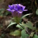 봉양농장 이미지