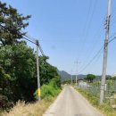 봉좌농장 이미지