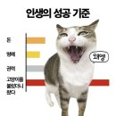 네일구이