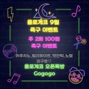 욜로게코