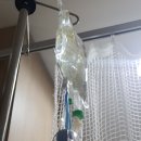 하나이비인후과병원 이미지