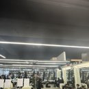 조대팀맥 이미지