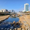 대전고오거리 이미지