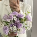 올로르플라워 Olor Flower 이미지
