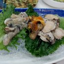 새섬 티스토리