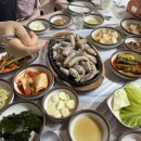 거북곰장어 이미지