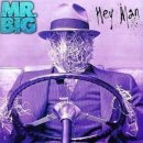 Mr. Big - Hey Man (1996) 이미지