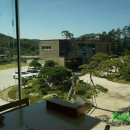 도토리 정원 이미지