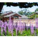 수로왕릉 이미지