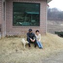 길평목장 Daum카페