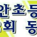 광산구-059 Daum카페