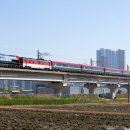 H4822 네이버블로그