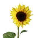 기쁨주유소 이미지