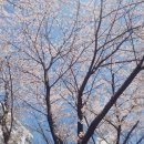 개금3동-44 네이버블로그
