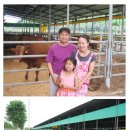 성실목장 이미지