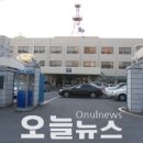 보령산양산삼
