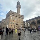 민벌공원 | 🇩🇪 작은 선택들이 모여 Ingolstadt 까지!
