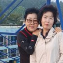 연포2020 이미지