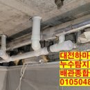 하마실비 이미지