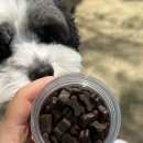 엠엔바이오 이미지