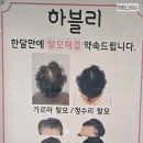 달인세차장 | 기흥역눈썹펌 달인 하블리 후기