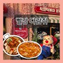 빨강 | 빨강다람쥐 양재 맛집 내돈내산 솔직 후기