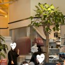 소란피자 | [하남/양식]리꼬 피자 하남미사 본점 내돈내산 후기