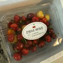 송진농장 | 🍒은영이네 과일농장 국산 체리 후기🍒
