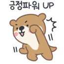 용인대본투더복싱
