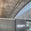 대륙허브 | 아시아나 OZ561(인천>로마) 26년 1월 8일 비즈니스 탑승 후기