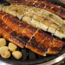 힘솟는짱어 이미지