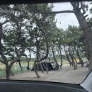 탐앤탐스왕산점 | [아이와 캠핑] 서울근교 인천 캠핑장, 왕산해수욕장 앞 솔트캠핑장