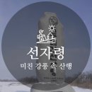 미친 강풍 속 선자령 산행