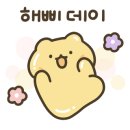 태닝더테라스