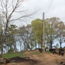 선정농장 이미지