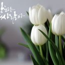 포토샵으로 내 사진 꾸미기 이미지