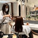 도연헤어 - 고양시 일산동구 | 도연헤어