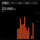 (주)필립미트 | 우당탕탕 호주 여행기 - 시드니 편(상)