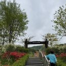 별천지칼국수 이미지