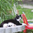 조각가박시동 미술관 이미지