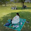 부산 근교 가볼만한곳 | 양산 황산공원 황산정 피크닉 하기 좋은 장소 튤립은 끝물 위치 주차장