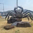 지천생태길 이미지